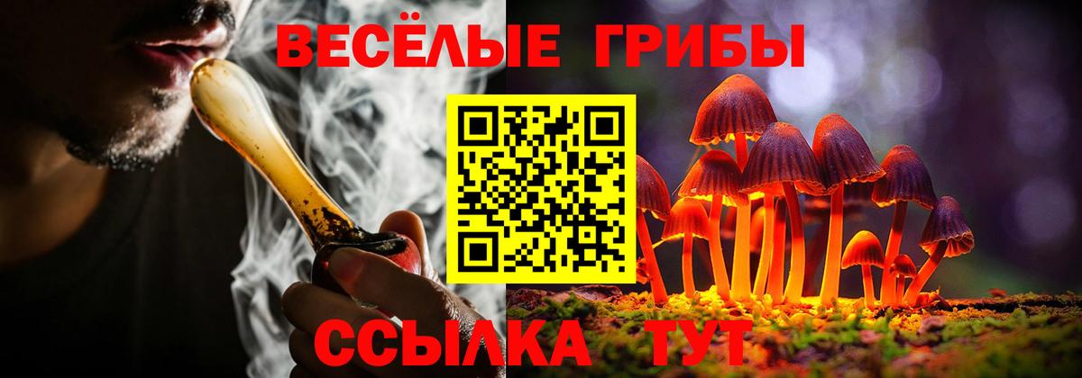 Псилоцибиновые грибы ЛСД Нижнекамск